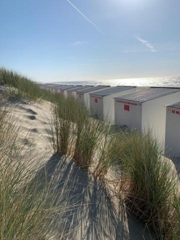 Studio zeezicht Nieuwpoort Buitenkant foto